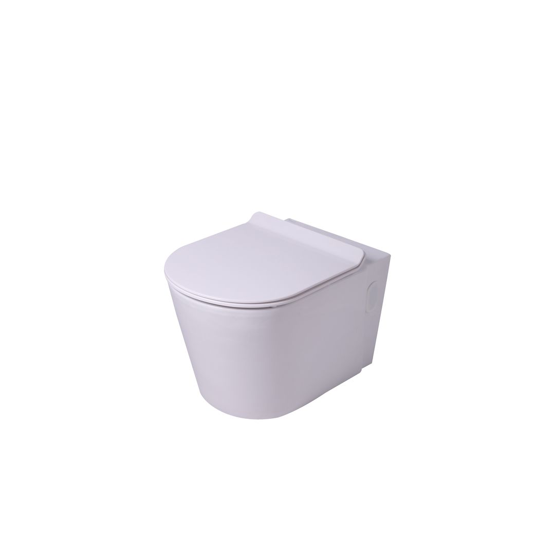 Vaal Entice Wall Hung Pan With Seat White