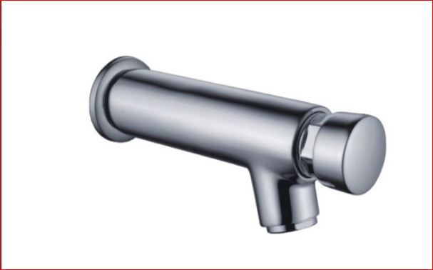 Cobra Metering Spout Wall Type Press Button Delay Chrome