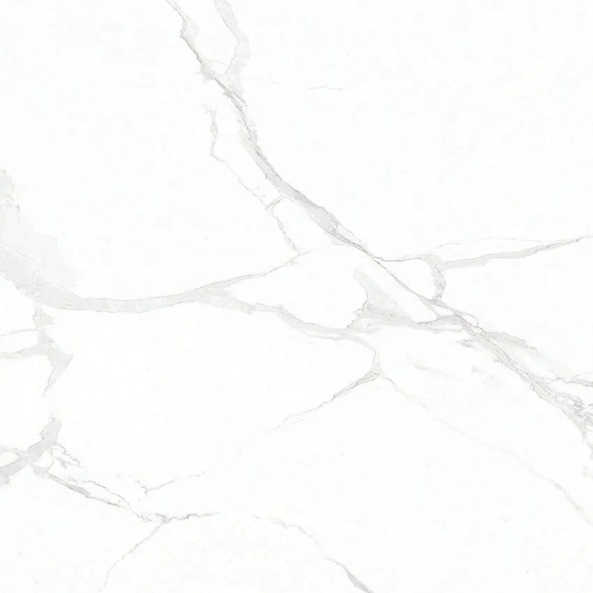 POLARIS WHITE
