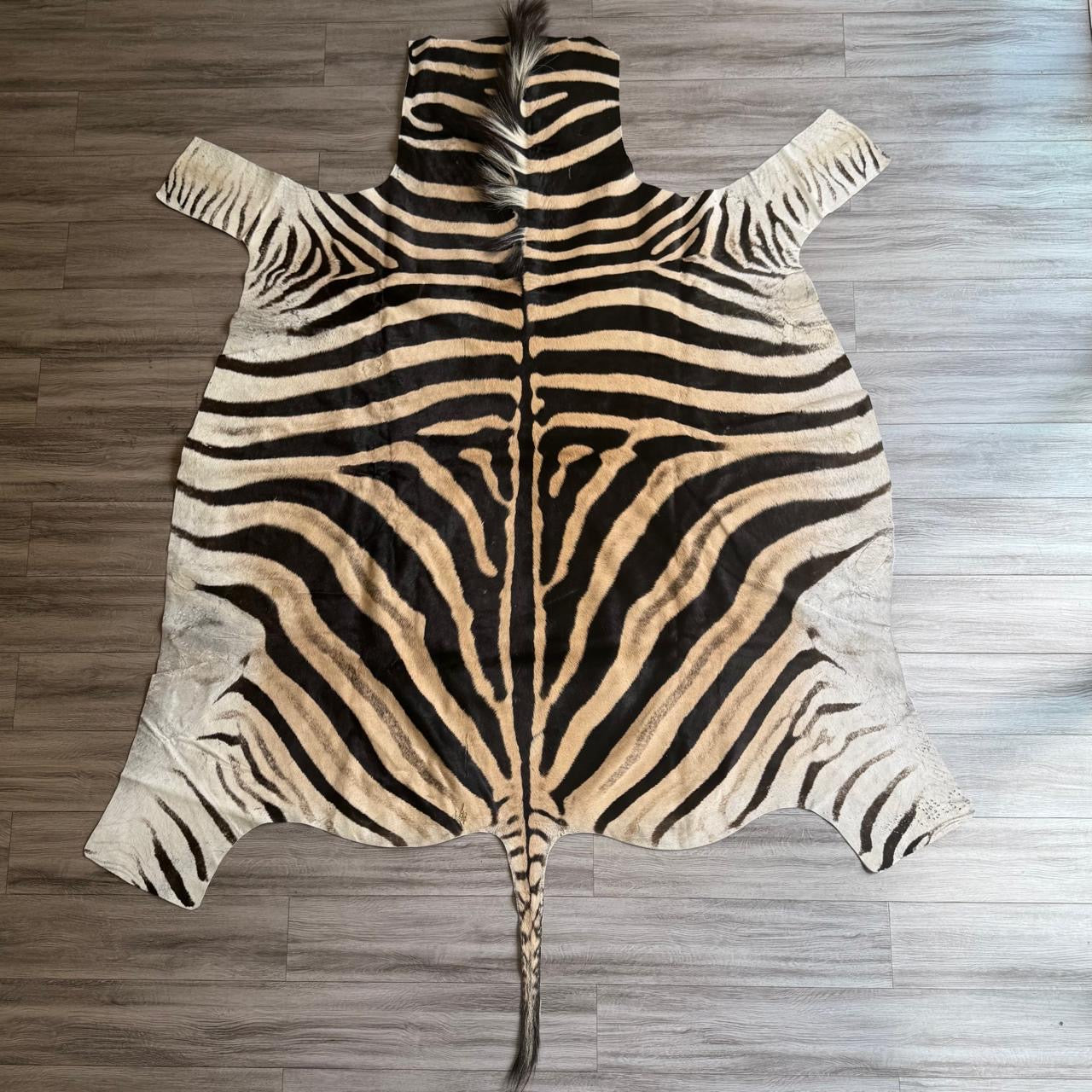 Zebra 30397/2c