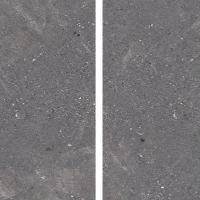 FOSSIL
